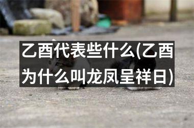 <h3>乙酉代表些什么(乙酉为什么叫龙凤呈祥日)