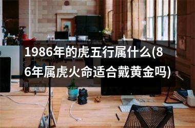 <h3>1986年的虎五行属什么(86年属虎火命适合戴黄金吗)