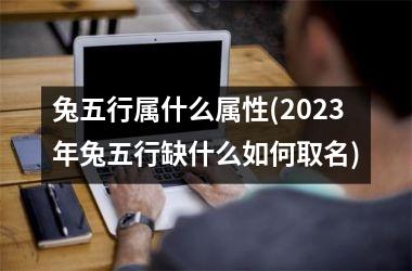 兔五行属什么属性(2023年兔五行缺什么如何取名)