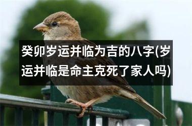 <h3>癸卯岁运并临为吉的八字(岁运并临是命主克死了家人吗)