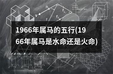 1966年属马的五行(1966年属马是水命还是火命)