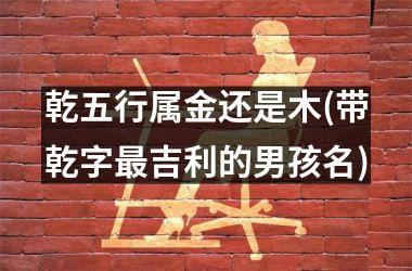 <h3>乾五行属金还是木(带乾字最吉利的男孩名)