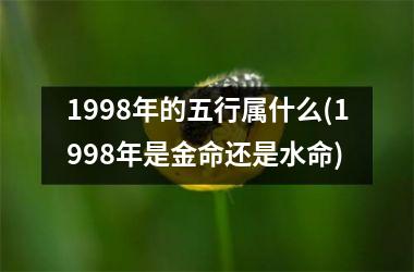 <h3>1998年的五行属什么(1998年是金命还是水命)