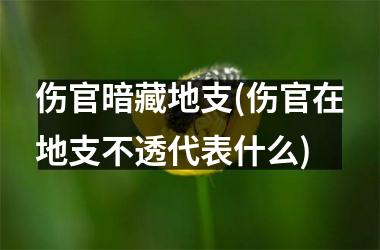 <h3>伤官暗藏地支(伤官在地支不透代表什么)