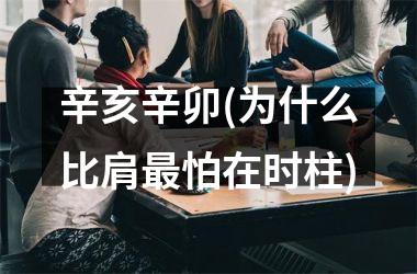 <h3>辛亥辛卯(为什么比肩最怕在时柱)
