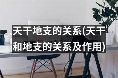 <h3>天干地支的关系(天干和地支的关系及作用)
