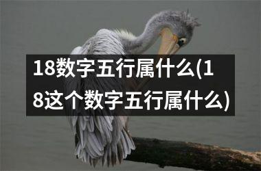 <h3>18数字五行属什么(18这个数字五行属什么)
