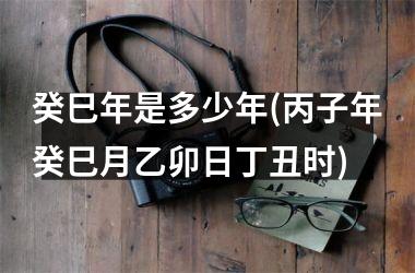 癸巳年是多少年(丙子年癸巳月乙卯日丁丑时)