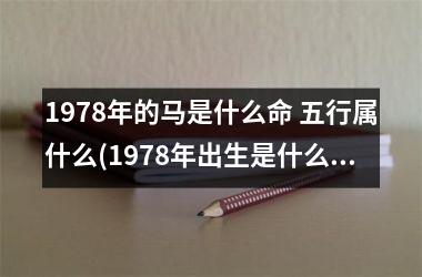 <h3>1978年的马是什么命 五行属什么(1978年出生是什么命五行属什么)