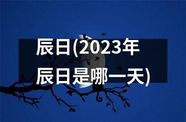 辰日(2025年辰日是哪一天)
