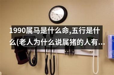 1990属马是什么命,五行是什么(老人为什么说属猪的人有福气)
