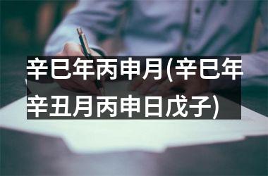 <h3>辛巳年丙申月(辛巳年辛丑月丙申日戊子)