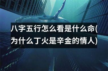 <h3>八字五行怎么看是什么命(为什么丁火是辛金的情人)