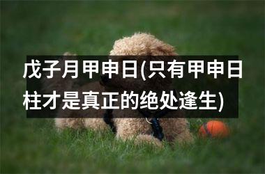 <h3>戊子月甲申日(只有甲申日柱才是真正的绝处逢生)
