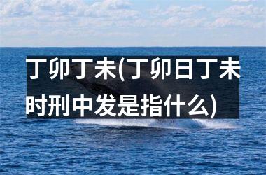<h3>丁卯丁未(丁卯日丁未时刑中发是指什么)