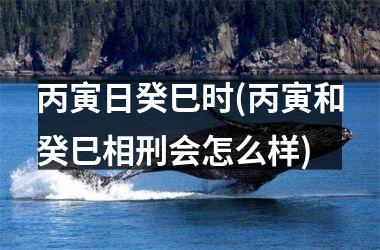 <h3>丙寅日癸巳时(丙寅和癸巳相刑会怎么样)
