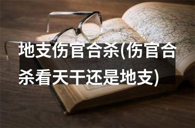 <h3>地支伤官合杀(伤官合杀看天干还是地支)