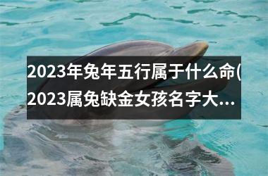 <h3>2025年兔年五行属于什么命(2025属兔缺金女孩名字大全集)