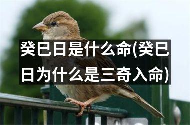 <h3>癸巳日是什么命(癸巳日为什么是三奇入命)