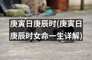 <h3>庚寅日庚辰时(庚寅日庚辰时女命一生详解)