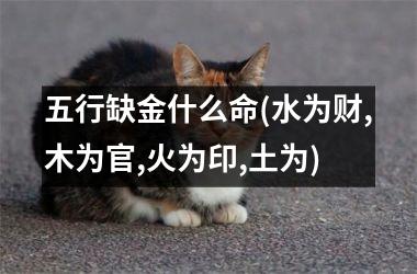 <h3>五行缺金什么命(水为财,木为官,火为印,土为)