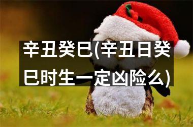 <h3>辛丑癸巳(辛丑日癸巳时生一定凶险么)