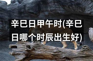 辛巳日甲午时(辛巳日哪个时辰出生好)