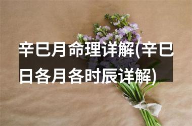 辛巳月命理详解(辛巳日各月各时辰详解)