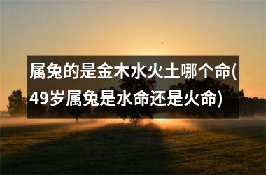<h3>属兔的是金木水火土哪个命(49岁属兔是水命还是火命)