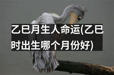 <h3>乙巳月生人命运(乙巳时出生哪个月份好)