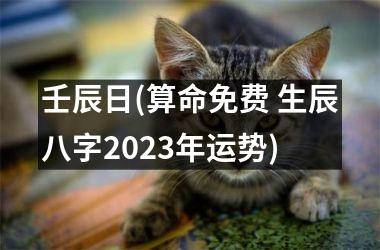 <h3>壬辰日(算命免费 生辰八字2023年运势)