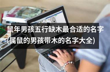 鼠年男孩五行缺木最合适的名字(属鼠的男孩带木的名字大全)