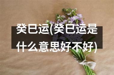 <h3>癸巳运(癸巳运是什么意思好不好)