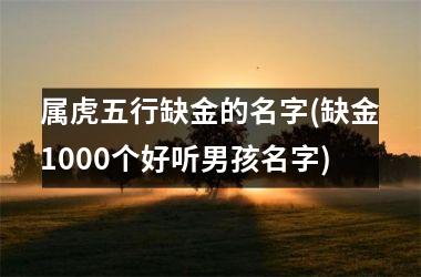 属虎五行缺金的名字(缺金1000个好听男孩名字)