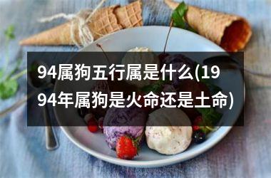 <h3>94属狗五行属是什么(1994年属狗是火命还是土命)