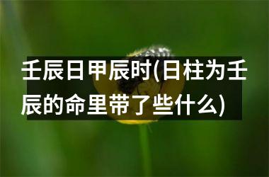 <h3>壬辰日甲辰时(日柱为壬辰的命里带了些什么)