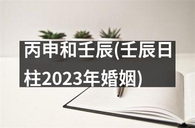 <h3>丙申和壬辰(壬辰日柱2025年婚姻)