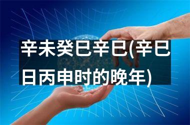 辛未癸巳辛巳(辛巳日丙申时的晚年)