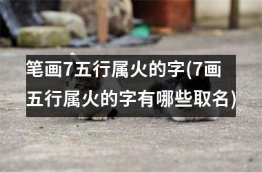 <h3>笔画7五行属火的字(7画五行属火的字有哪些取名)