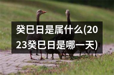 <h3>癸巳日是属什么(2025癸巳日是哪一天)