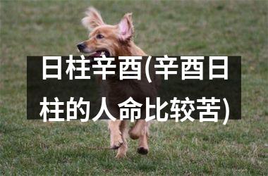 <h3>日柱辛酉(辛酉日柱的人命比较苦)