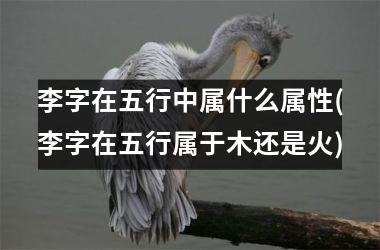<h3>李字在五行中属什么属性(李字在五行属于木还是火)