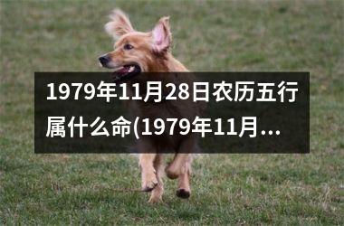 <h3>1979年11月28日农历五行属什么命(1979年11月13日出生的是五行什么命)