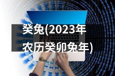 癸兔(2023年农历癸卯兔年)