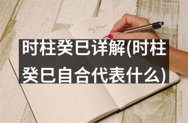 <h3>时柱癸巳详解(时柱癸巳自合代表什么)