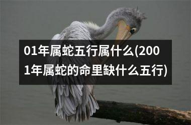 01年属蛇五行属什么(2001年属蛇的命里缺什么五行)