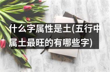 <h3>什么字属性是土(五行中属土最旺的有哪些字)