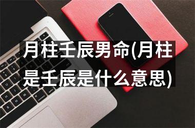 <h3>月柱壬辰男命(月柱是壬辰是什么意思)