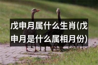 戊申月属什么生肖(戊申月是什么属相月份)