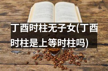 丁酉时柱无子女(丁酉时柱是上等时柱吗)